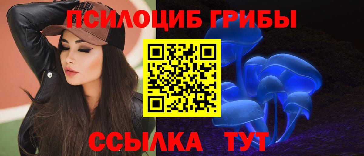 Псилоцибиновые грибы Cubensis  Вход с VPN  Лосино-Петровский 