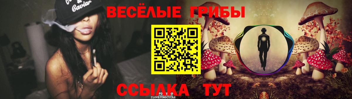 Псилоцибиновые грибы прущие грибы Лосино-Петровский